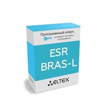 Неисключительная лицензия ESR-BRAS на ПО для маршрутизаторов серии ESR Eltex ESR-BRAS-L фото, купить, цена, магазин