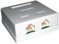 Розетка двойная наружная, Cat.5e, микро 2 RJ45m AESP EWX-45-S2/5 фото, купить, цена, магазин