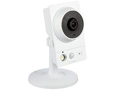 Wireless Day/Night Camera with Color Night Vision D-Link DCS-2136L фото, купить, цена, магазин