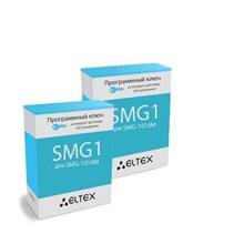 Пакет Eltex SMG1-SP1 фото, купить, цена, магазин