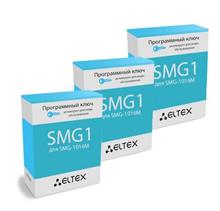 Пакет Eltex SMG1-SP4 фото, купить, цена, магазин